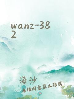 wanz-382