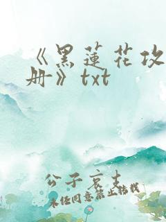 《黑莲花攻略手册》txt