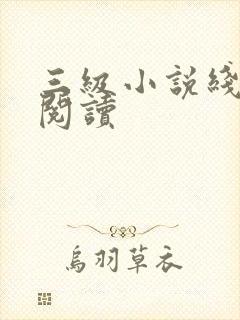 三级小说线全文阅读