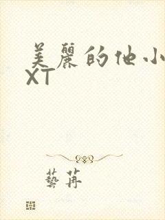 美丽的他小说TXT