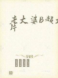 老大婆B超大图片