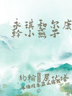 永琪和尔康一起干小燕子