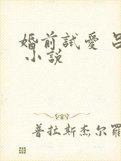 婚前试爱 吕颜 小说