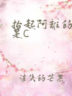抬起阿离的腿就是C