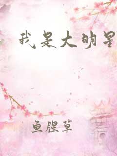 我是大明星周天