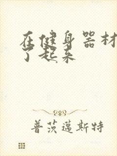 在健身器材上做了起来