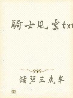 骑士风云txt