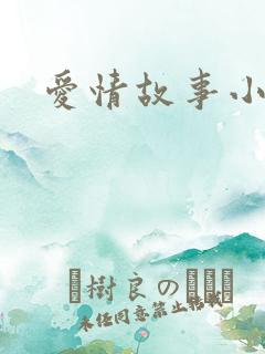 爱情故事小说