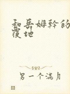 和岳姆干的翻天覆地