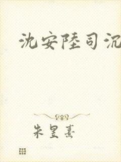 沈安陆司沉小说