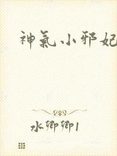 神气小邪妃