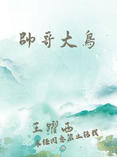 帅哥大鸟