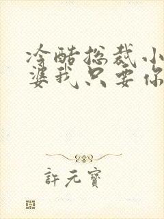 冷酷总裁小小老婆我只要你