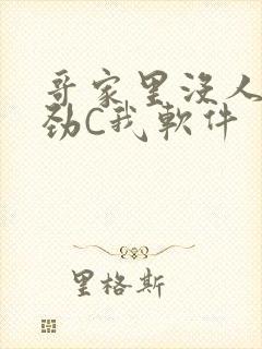 哥家里没人使点劲C我软件