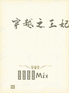 穿越之王妃有孕