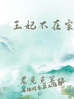 王妃不在家