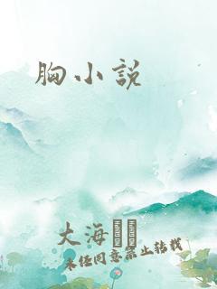 胸小说