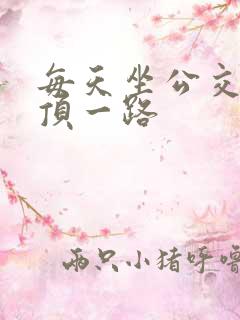 每天坐公交车都顶一路