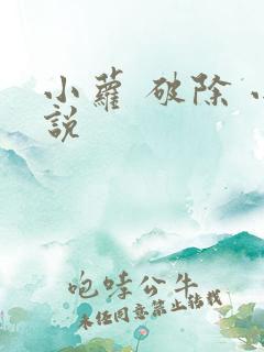 小萝 破除 小说