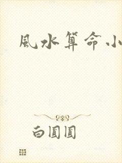 风水算命小说