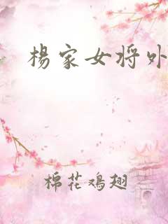 杨家女将外传