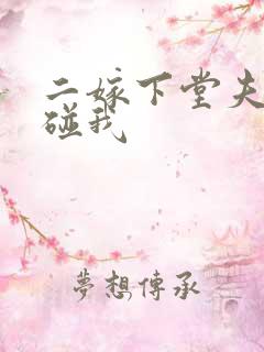 二嫁下堂夫君别碰我