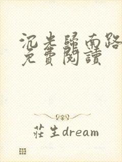 沉光归南路全文免费阅读