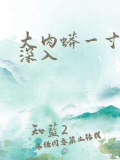 大肉蟒一寸寸地深入