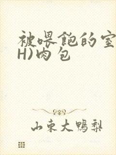 被喂饱的室友(H)肉包