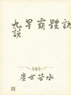 九星霸体诀 小说
