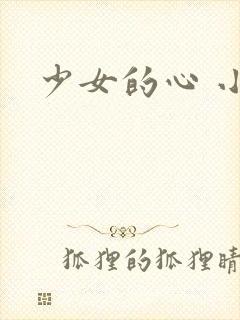 少女的心 小说