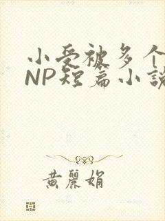 小受被多个攻强NP短篇小说
