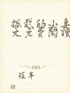 总裁的小妻子全文免费阅读