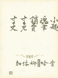 寸寸销魂小说全文免费笔趣阁