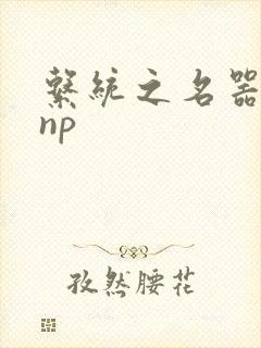 系统之名器攻略np