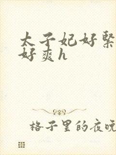 太子妃好紧皇上好爽h