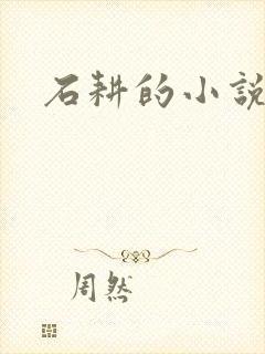 石耕的小说