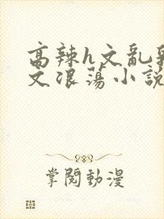 高辣h文乱乳h文浪荡小说