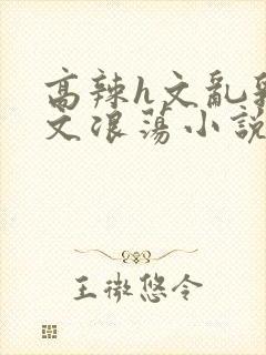 高辣h文乱乳h文浪荡小说苏卿