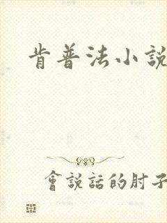 肯普法小说下载