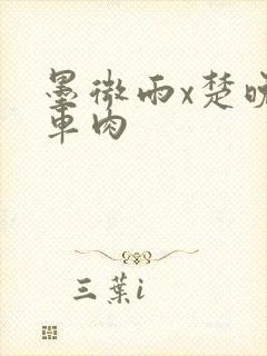 墨微雨x楚晚宁车肉