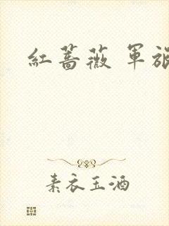 红蔷薇 军旅文