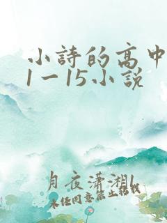 小诗的高中日记1一15小说
