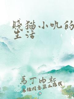 贱猫小叽的幸福生活