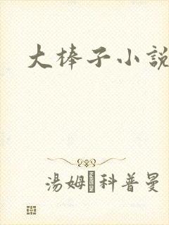 大棒子小说