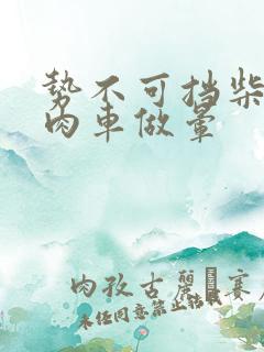 势不可挡柴鸡蛋肉车做晕