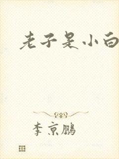 老子是小白脸