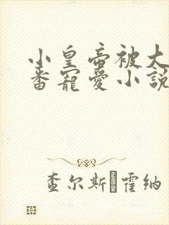 小皇帝被大臣轮番宠爱小说