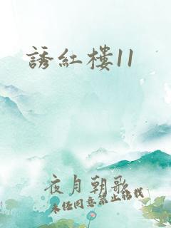 诱红楼11