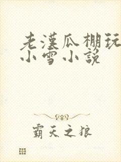 老汉瓜棚玩小丹小雪小说